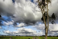 意甲球队在比赛中奏凯凯歌，铸就传奇