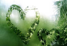 亚洲选手飒爽登场，争夺冠军