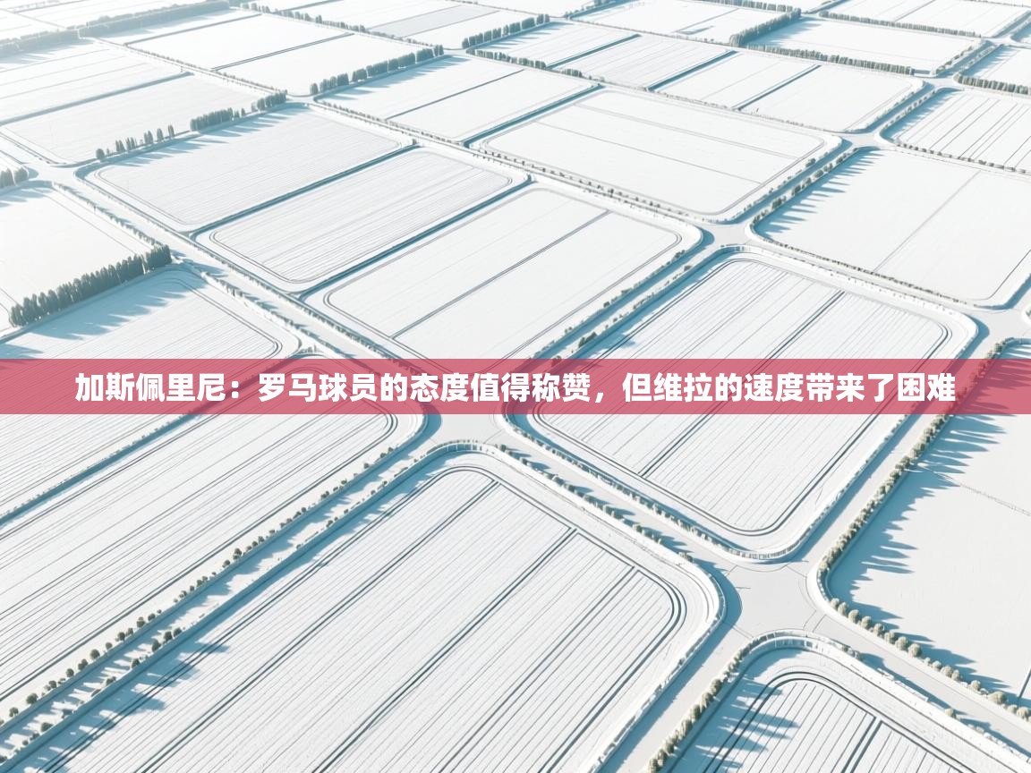 加斯佩里尼：罗马球员的态度值得称赞，但维拉的速度带来了困难